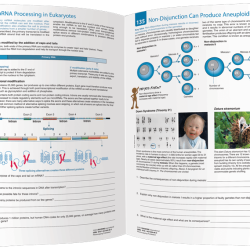 Vce biology biozone workbook