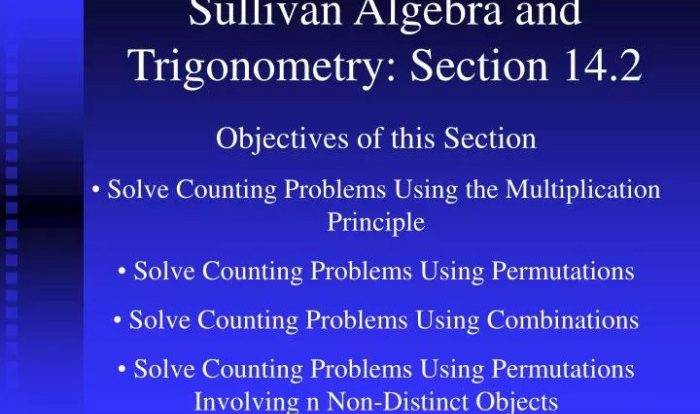 Sullivan algebra and trigonometry 10th edition