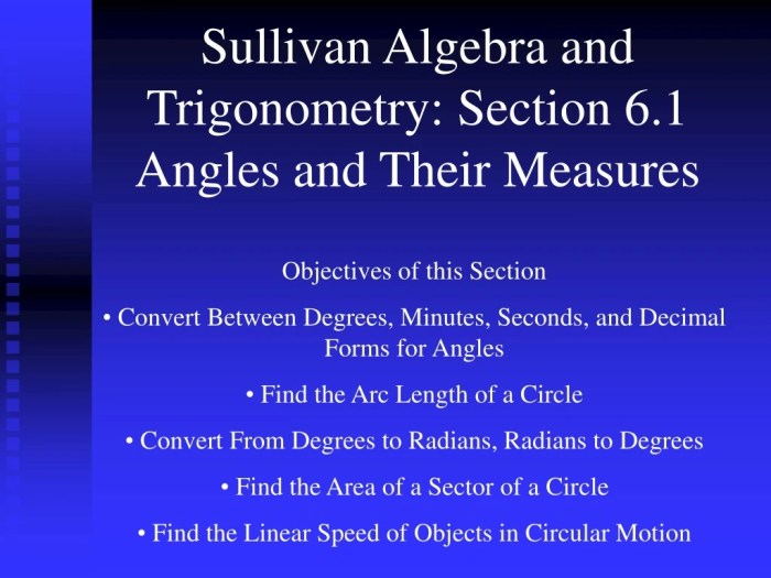 Sullivan algebra and trigonometry 10th edition